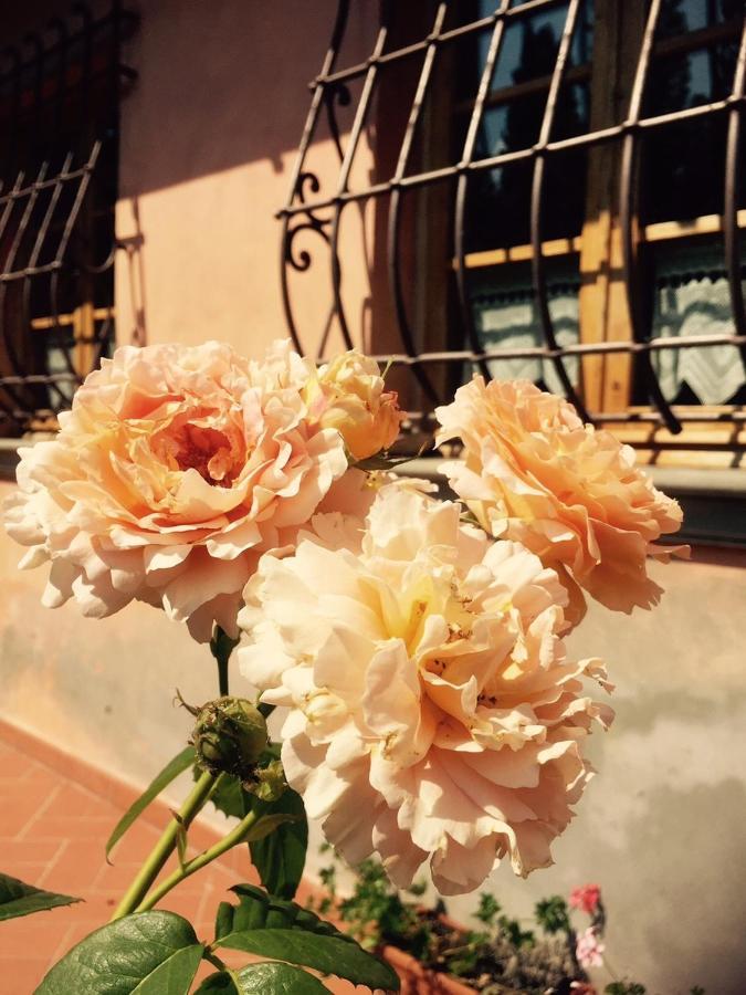 Rosso Del Chianti Bed & Breakfast Panzano in Chianti Luaran gambar