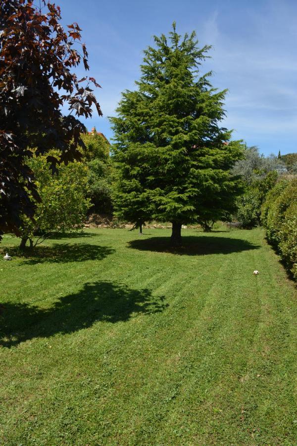 Rosso Del Chianti Bed & Breakfast Panzano in Chianti Luaran gambar