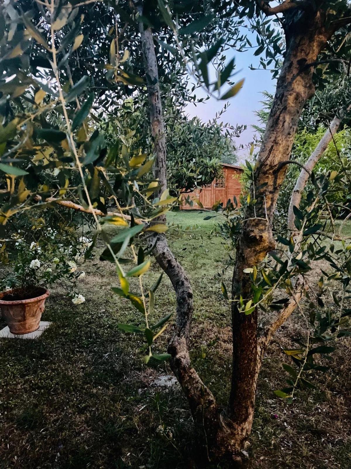 Rosso Del Chianti Bed & Breakfast Panzano in Chianti Luaran gambar